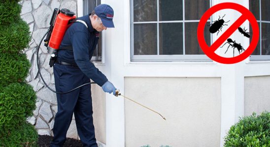 Etimesgut Kemirgen İlaçlama böcek ilaçlama ve haşere kontrolü — ilaclama-tr.com